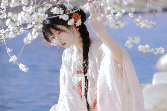 七武士 封面